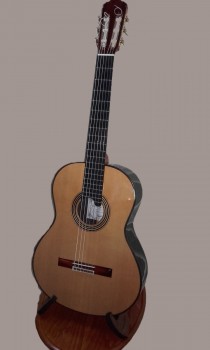 Javier Mengual Linea Profesional (2024 model) available at Guitar Notes.